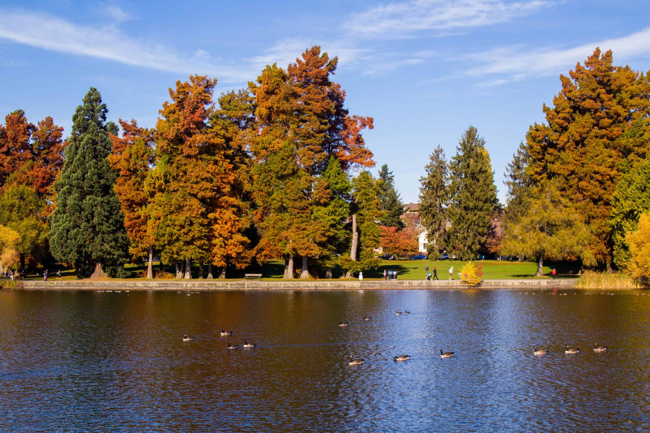 Green Lake neighborhood — Neighborhood Guide by Elev8 Realty Group