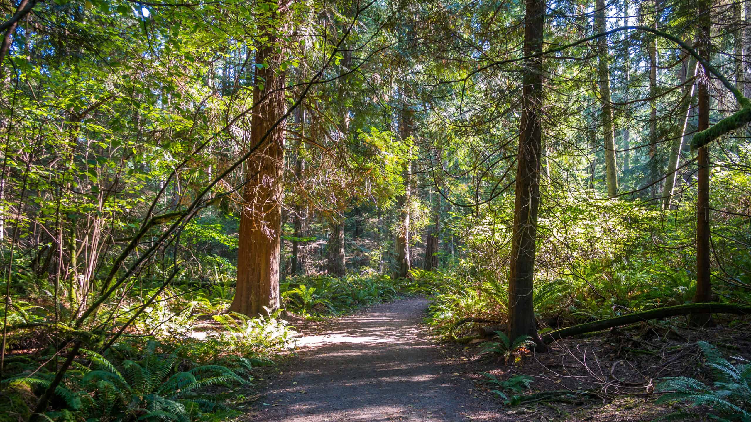 Bridle Trails neighborhood — Neighborhood Guide by Elev8 Realty Group