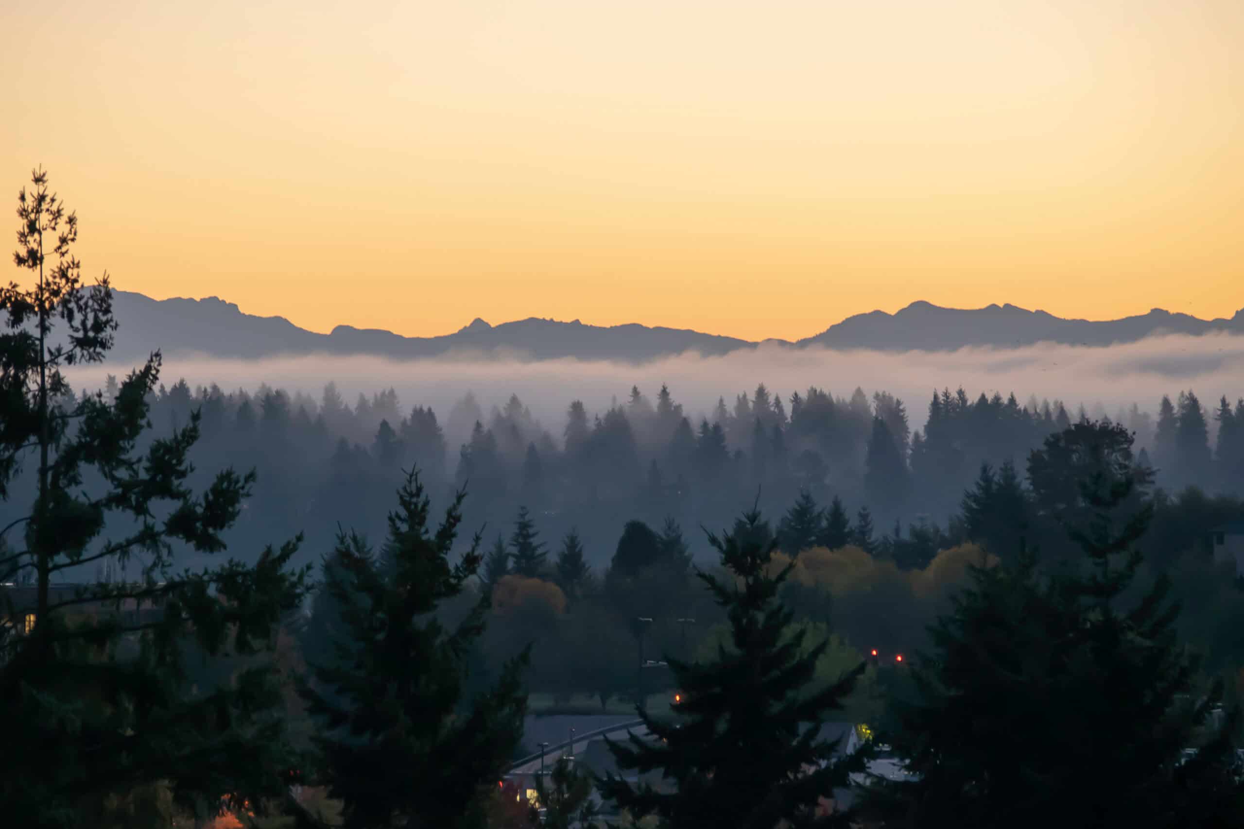 Cascade Mountain range at twilight viewed from Mercer Island across the forest canopy